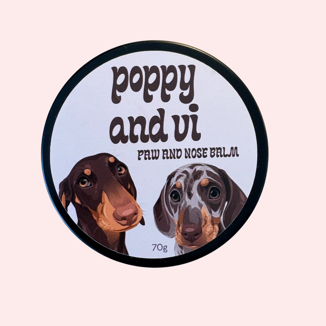 Protecting Your Pet's Paws and Nose