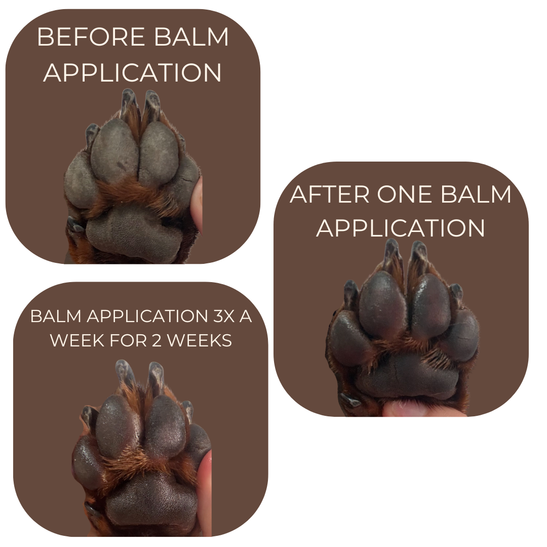 Paw and Nose Balm